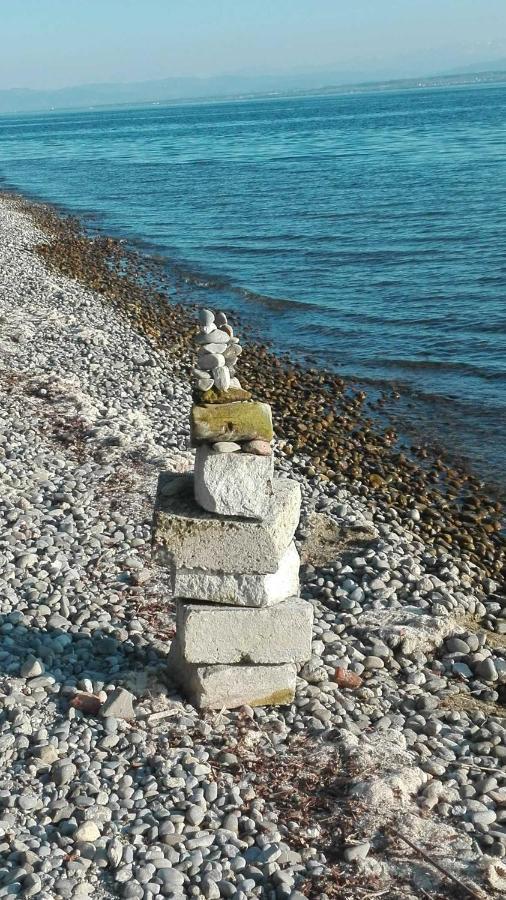 Bodensee-fisch *