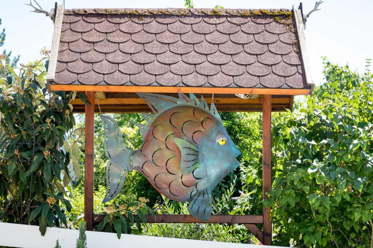 Bodensee-fisch